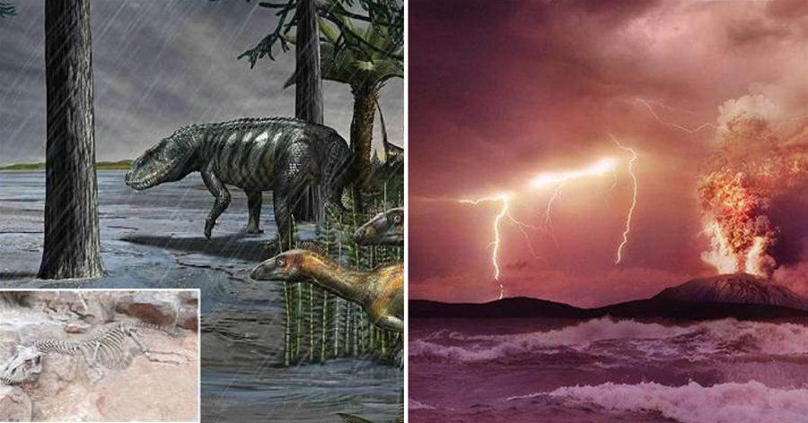 2.33億年前，地球下了一場持續100萬年的大雨，這是真的嗎？