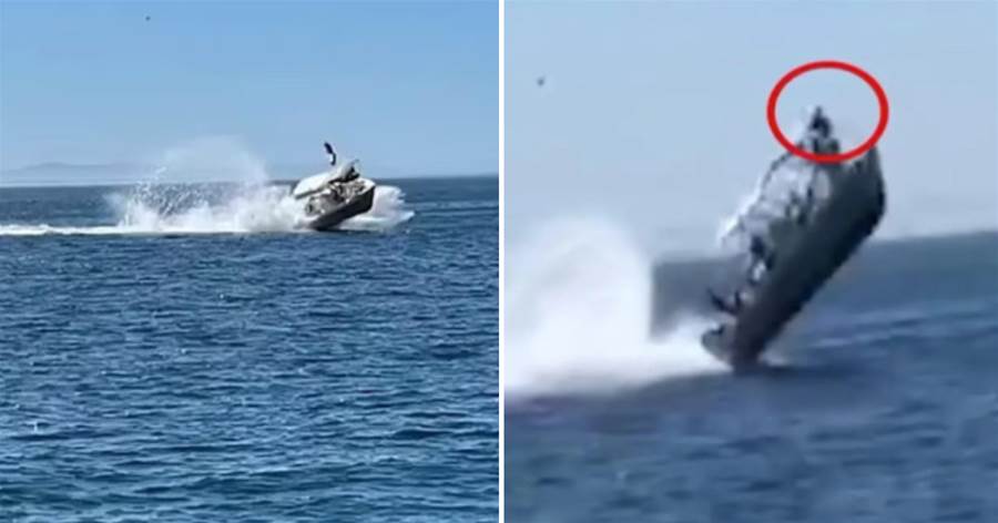墨西哥一游艇被巨型生物撞翻，人都飛起來了，到底是什麼？