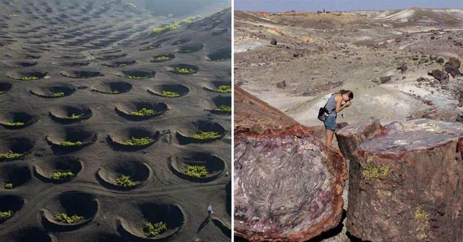 30張活久見的照片，種在火山灰的葡萄園，令人眼界大開