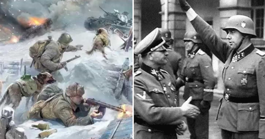 二戰時，德軍士兵在莫斯科大片凍死，他們為何不去搶當地百姓
