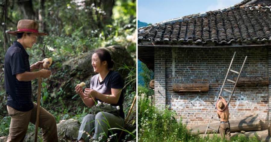 女子被毒蜂蟄40針，被救后以身相許恩人隱居大山20年，種64萬棵樹
